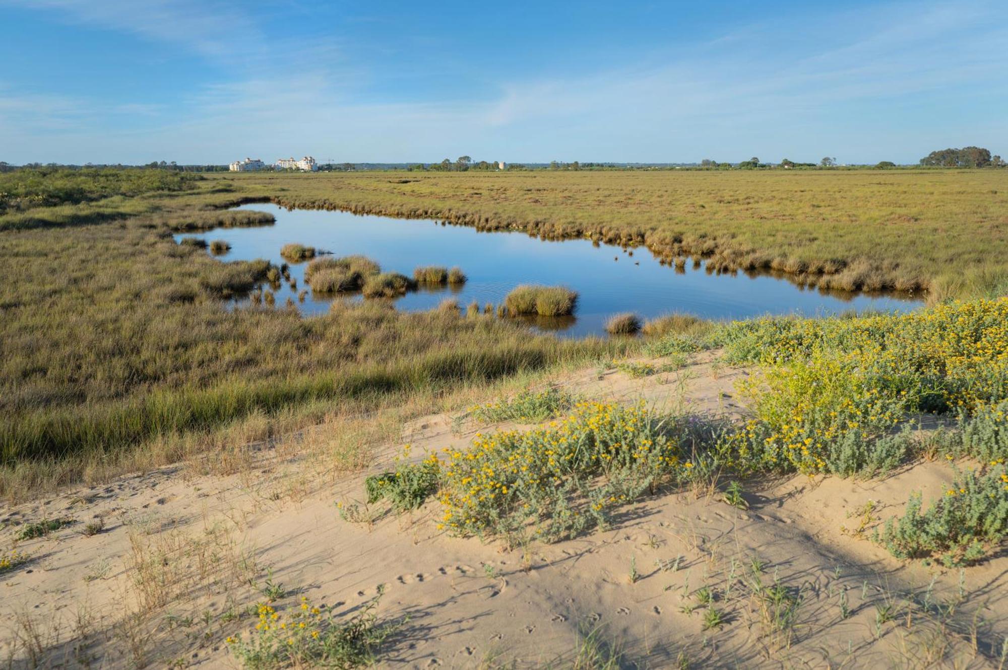 Apartamento - Atico Isla Canela Ayamonte Bagian luar foto